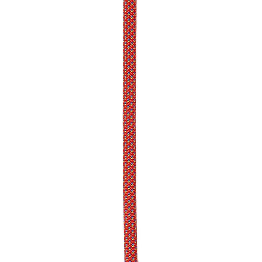 IN STOCK: Ekko Leash - Moab Burnt Orange - 6FT