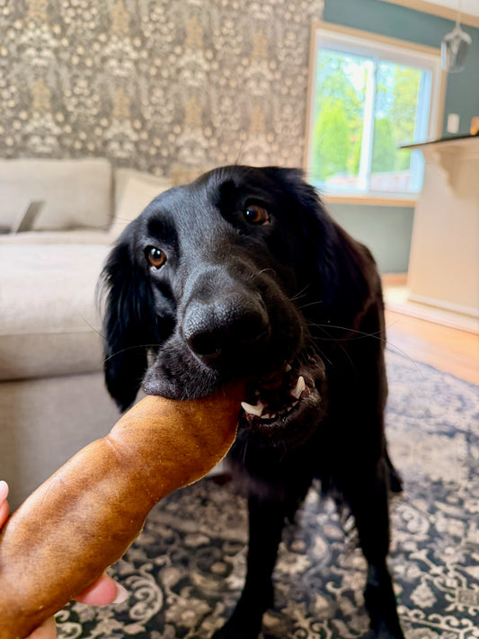 Grass-Fed Beef Hide Roll Chew (Super Long Lasting)