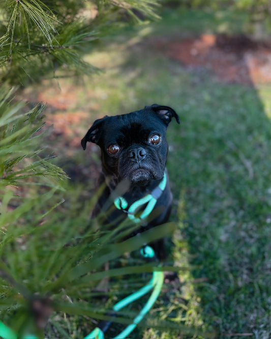 Rope Slip Collar - Lunar Lagoon 9mm