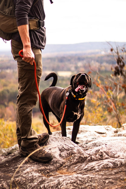 Ekko Leash - 9 + 10mm