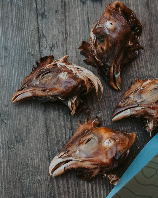 Chicken Head