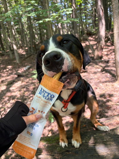 Chicken Stick