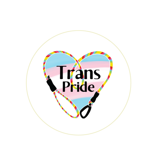 Trans Pride Badge