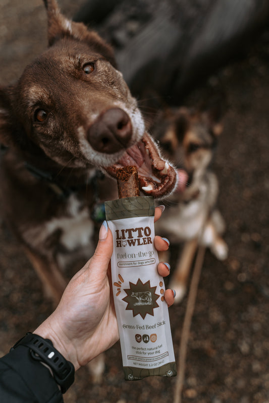 Grass-Fed Beef Stick