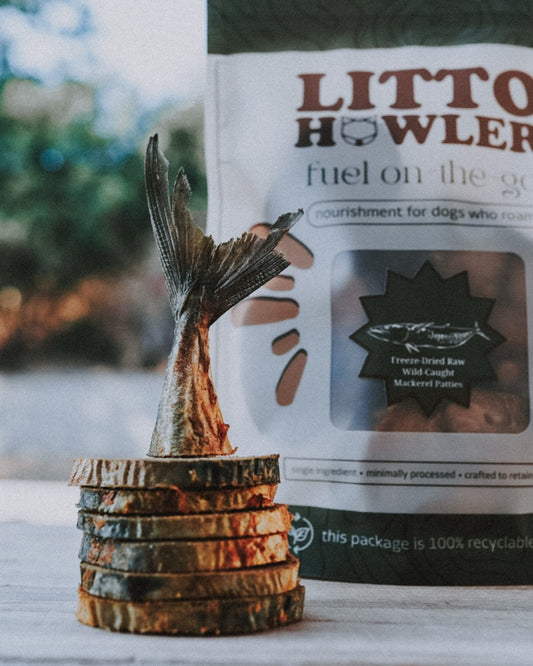 Freeze Dried Wild Caught Mackerel Patties
