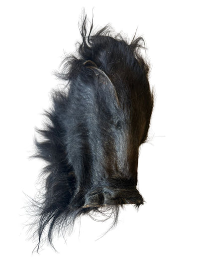 Dehydrated Grass-Fed Beef Ear Chew (Furry + JUMBO)
