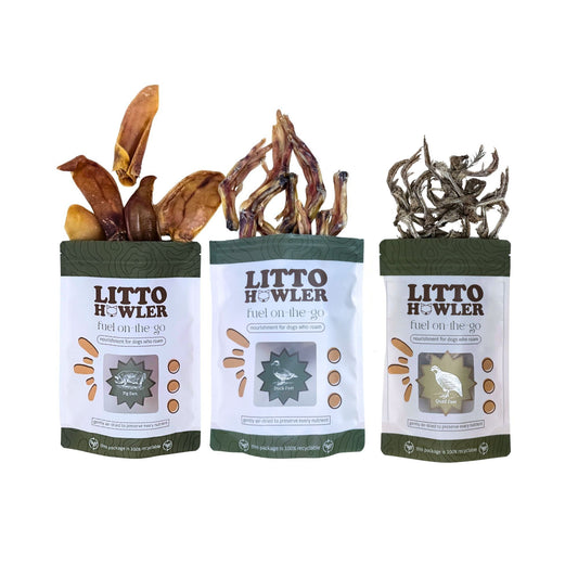 Founder's Choice: Litto Chompers