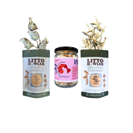 Founder's Choice: Kitty Cat Bundle
