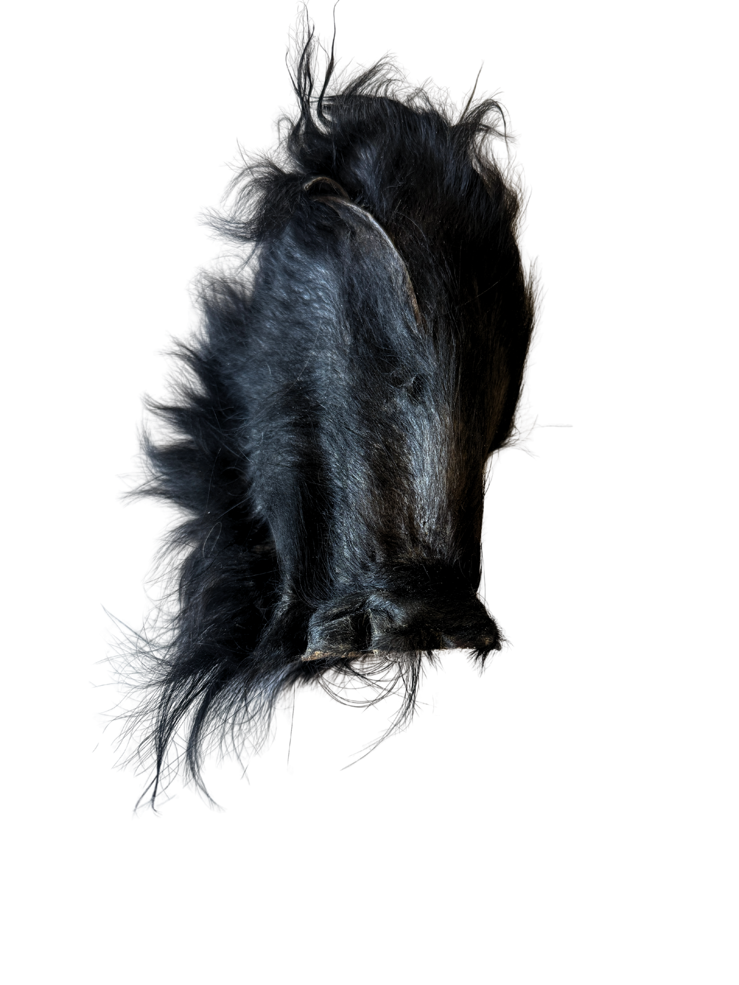 Grass-Fed Beef Ear Chew (Hairy)