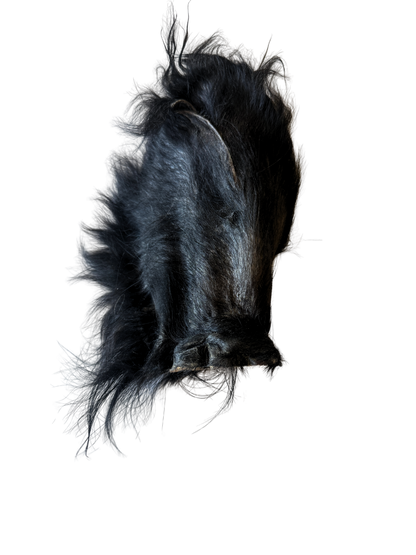 Grass-Fed Beef Ear Chew (Hairy)