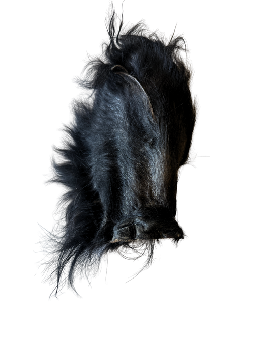 Grass-Fed Beef Ear Chew (Hairy)