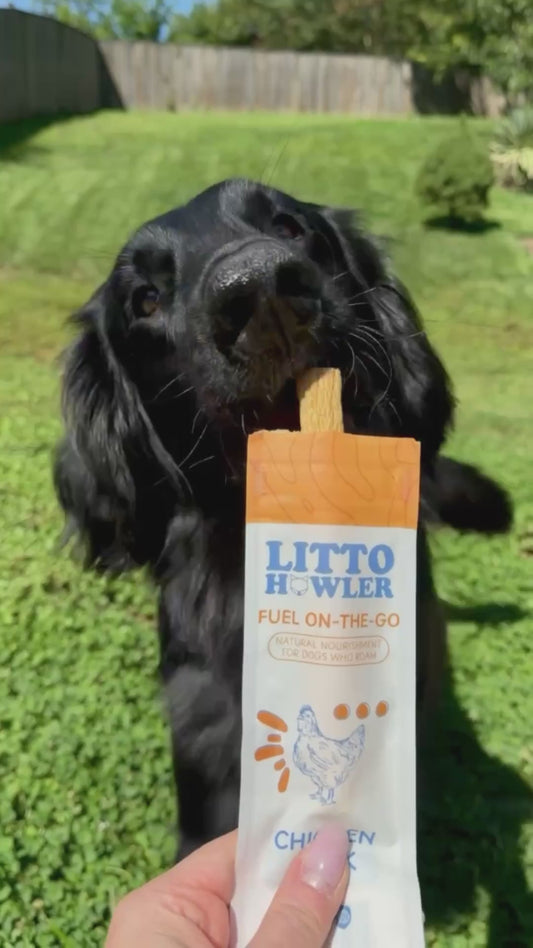 Chicken Stick