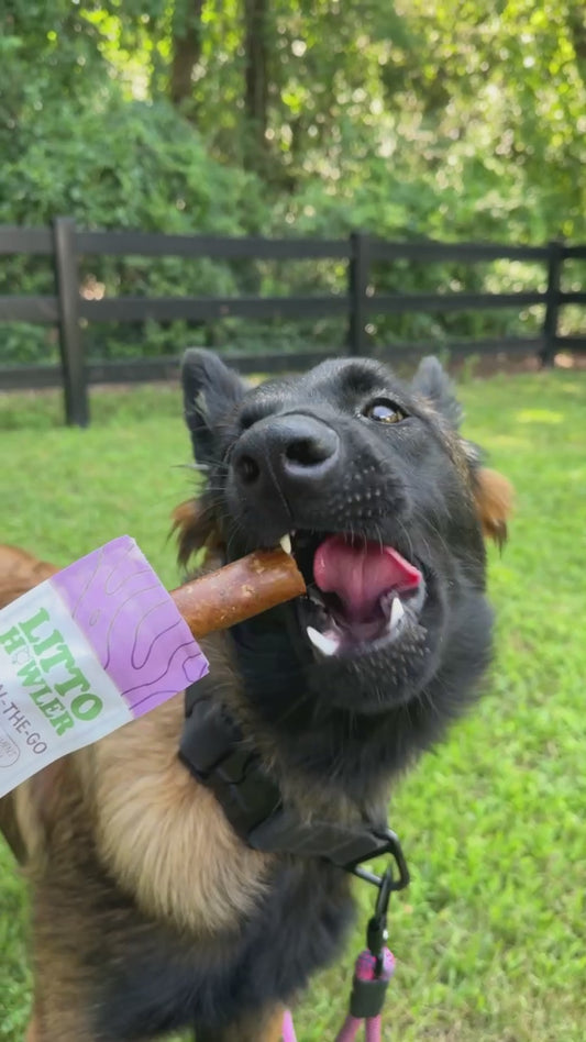 Grass-Fed Beef Stick
