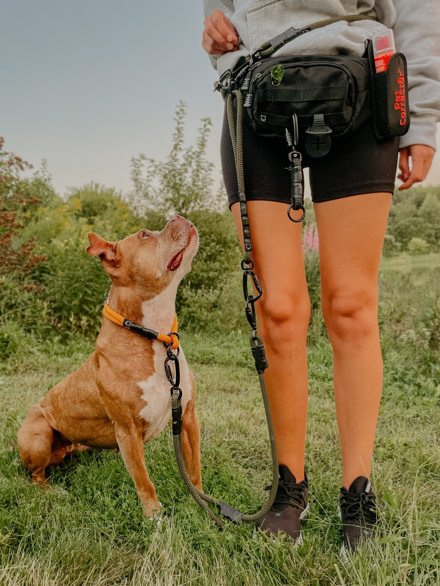 Dog clearance leash connector