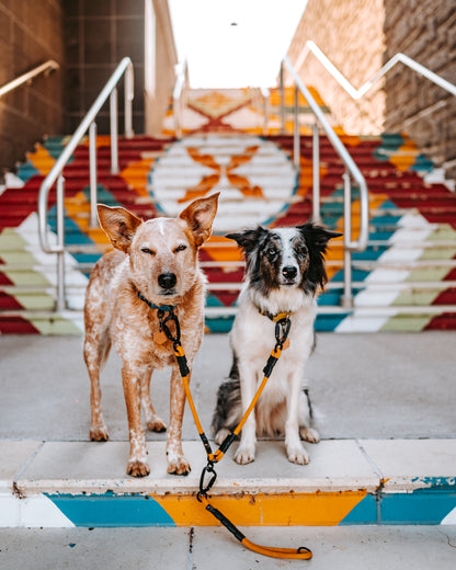 Kiko City Leash - 9 + 10mm