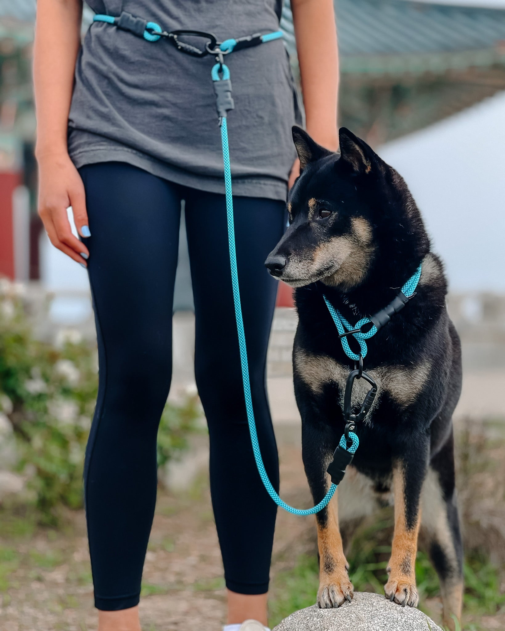 Walking dog shop leash around waist