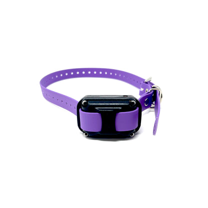 Biothane E-Collar Strap
