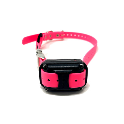 Biothane E-Collar Bungee Quick Release Strap