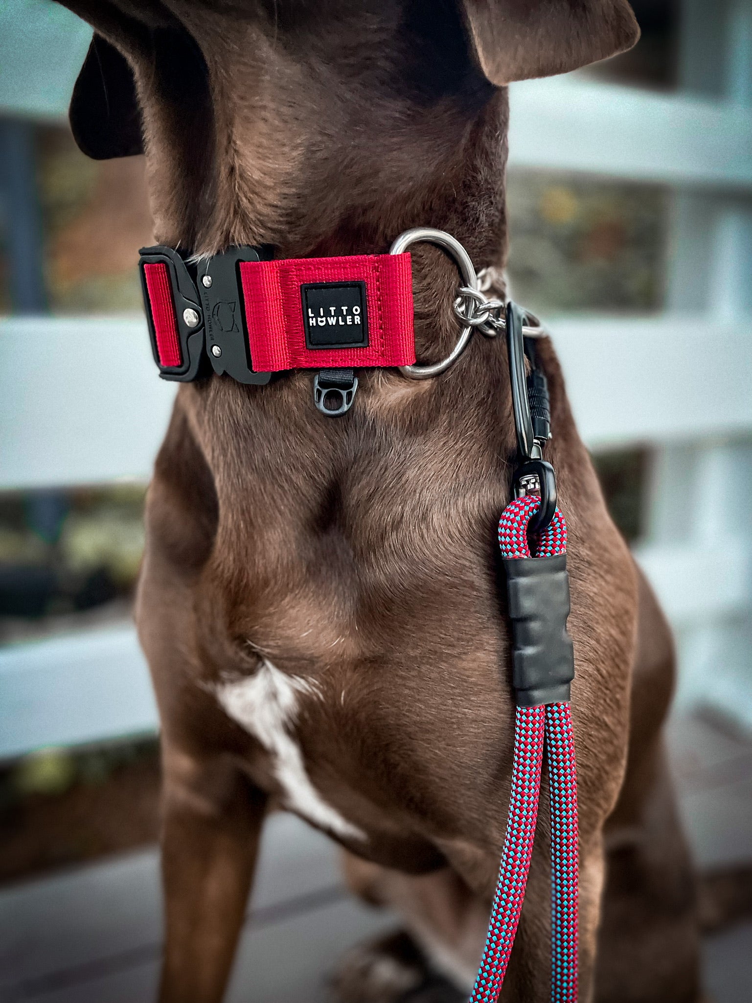 Wide store martingale collars