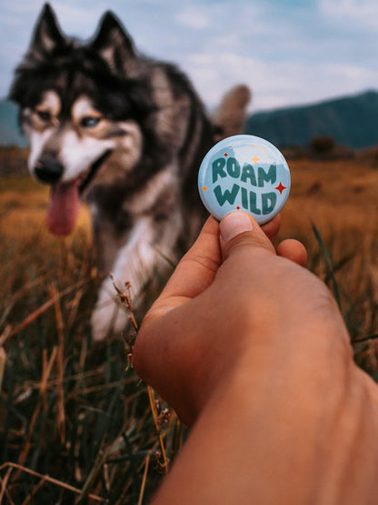 Adventure Badges